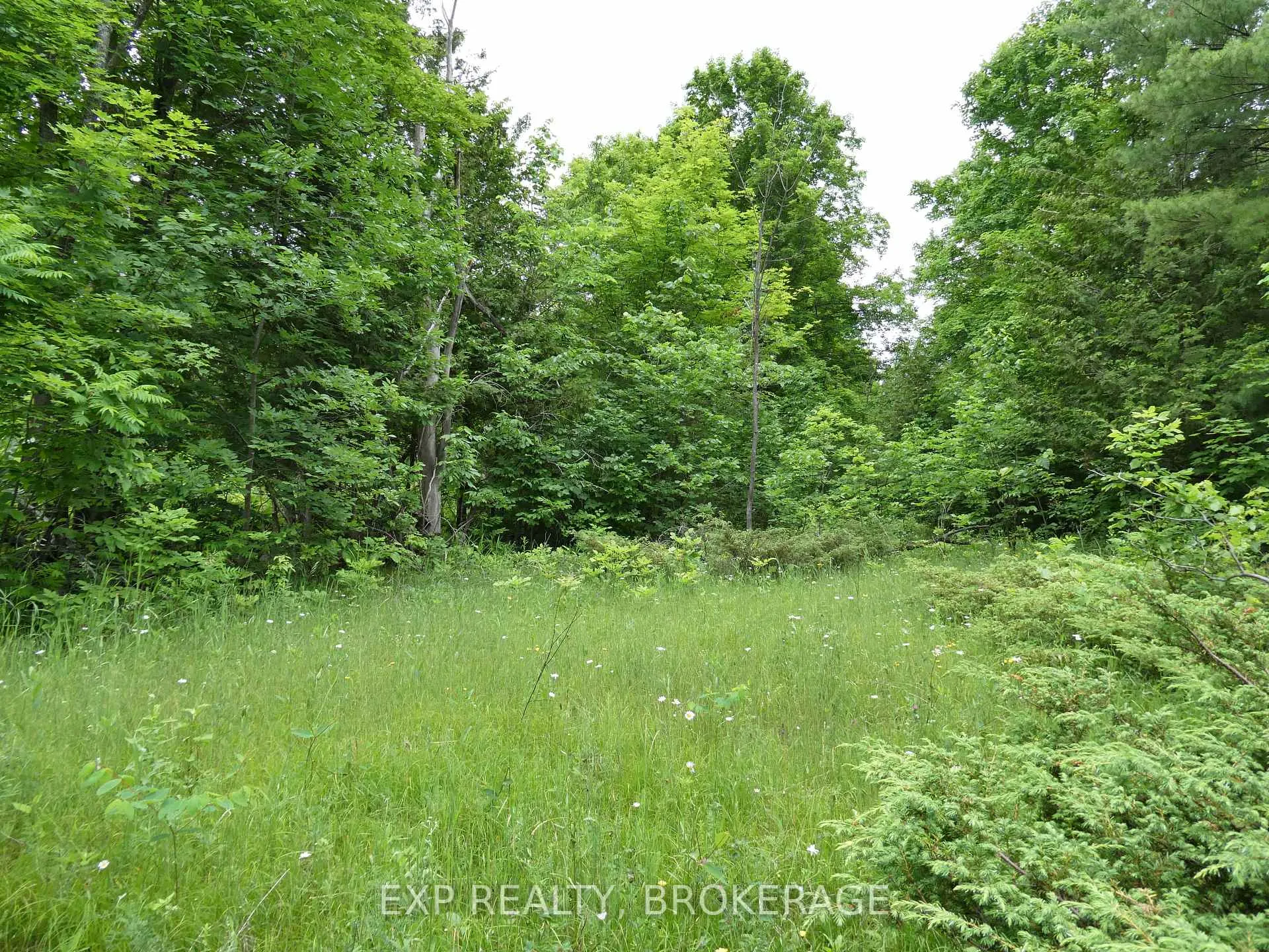 Photo 24 of 1881 Elm Tree Road, Frontenac, Frontenac Centre — HOMEH