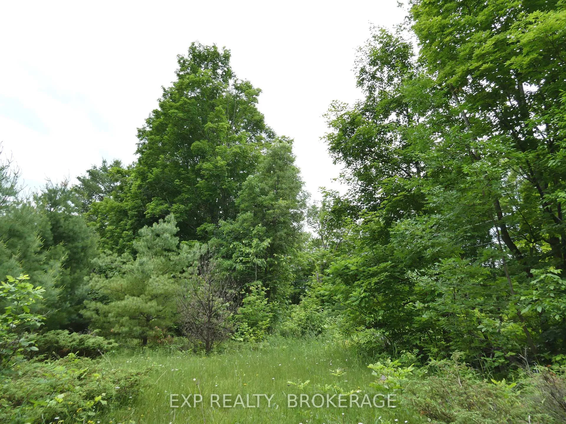Photo 25 of 1881 Elm Tree Road, Frontenac, Frontenac Centre — HOMEH
