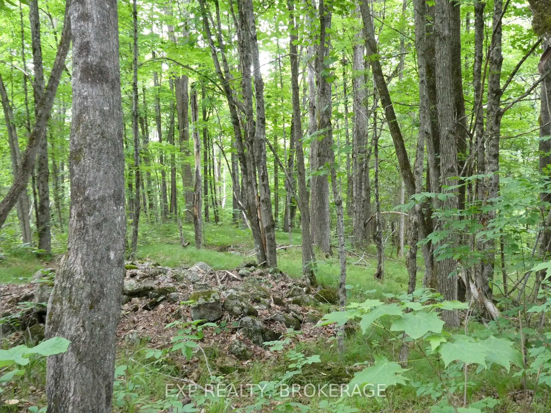 Photo 29 of 1881 Elm Tree Road, Frontenac, Frontenac Centre — HOMEH