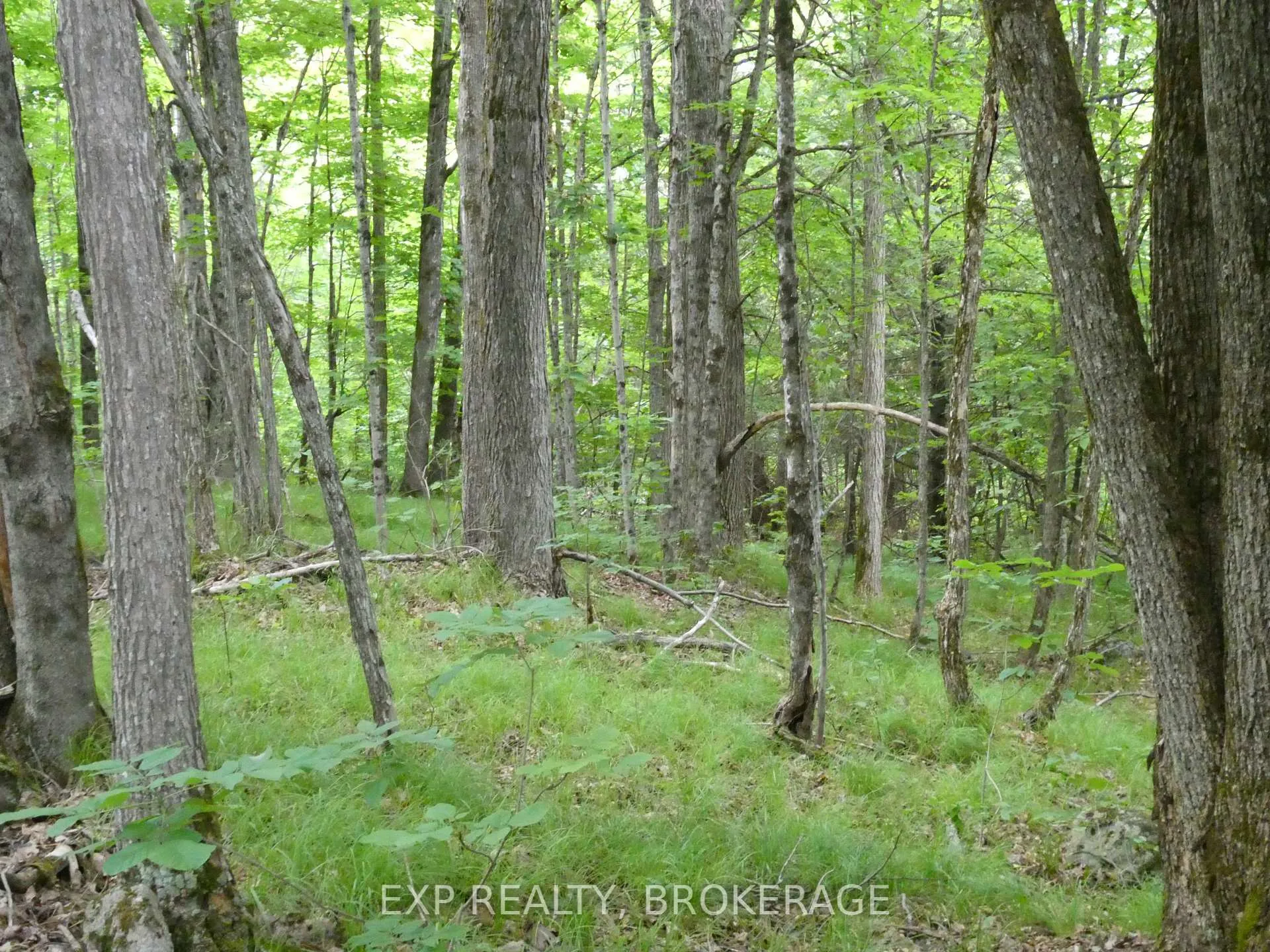 Photo 30 of 1881 Elm Tree Road, Frontenac, Frontenac Centre — HOMEH