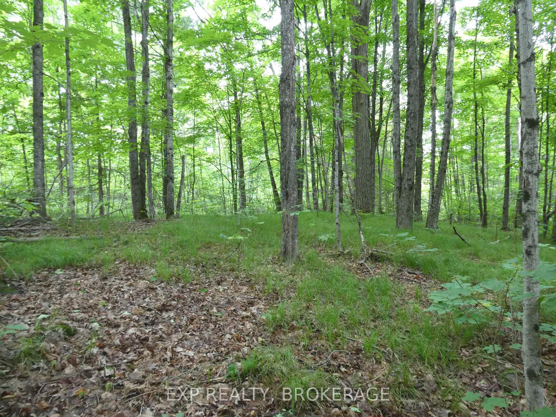 Photo 31 of 1881 Elm Tree Road, Frontenac, Frontenac Centre — HOMEH