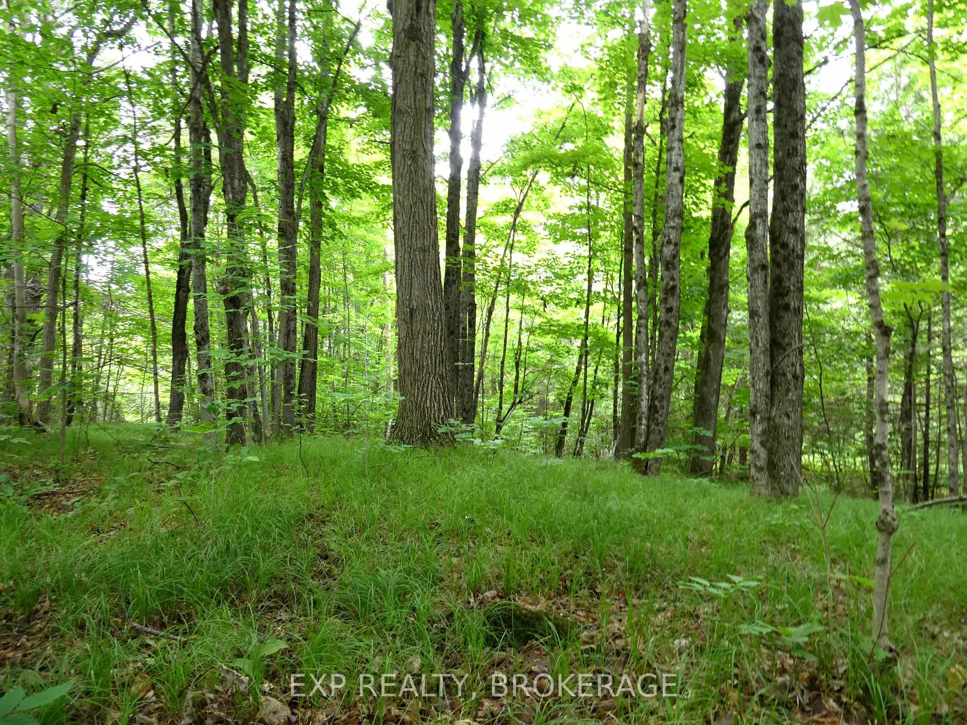 Photo 32 of 1881 Elm Tree Road, Frontenac, Frontenac Centre — HOMEH