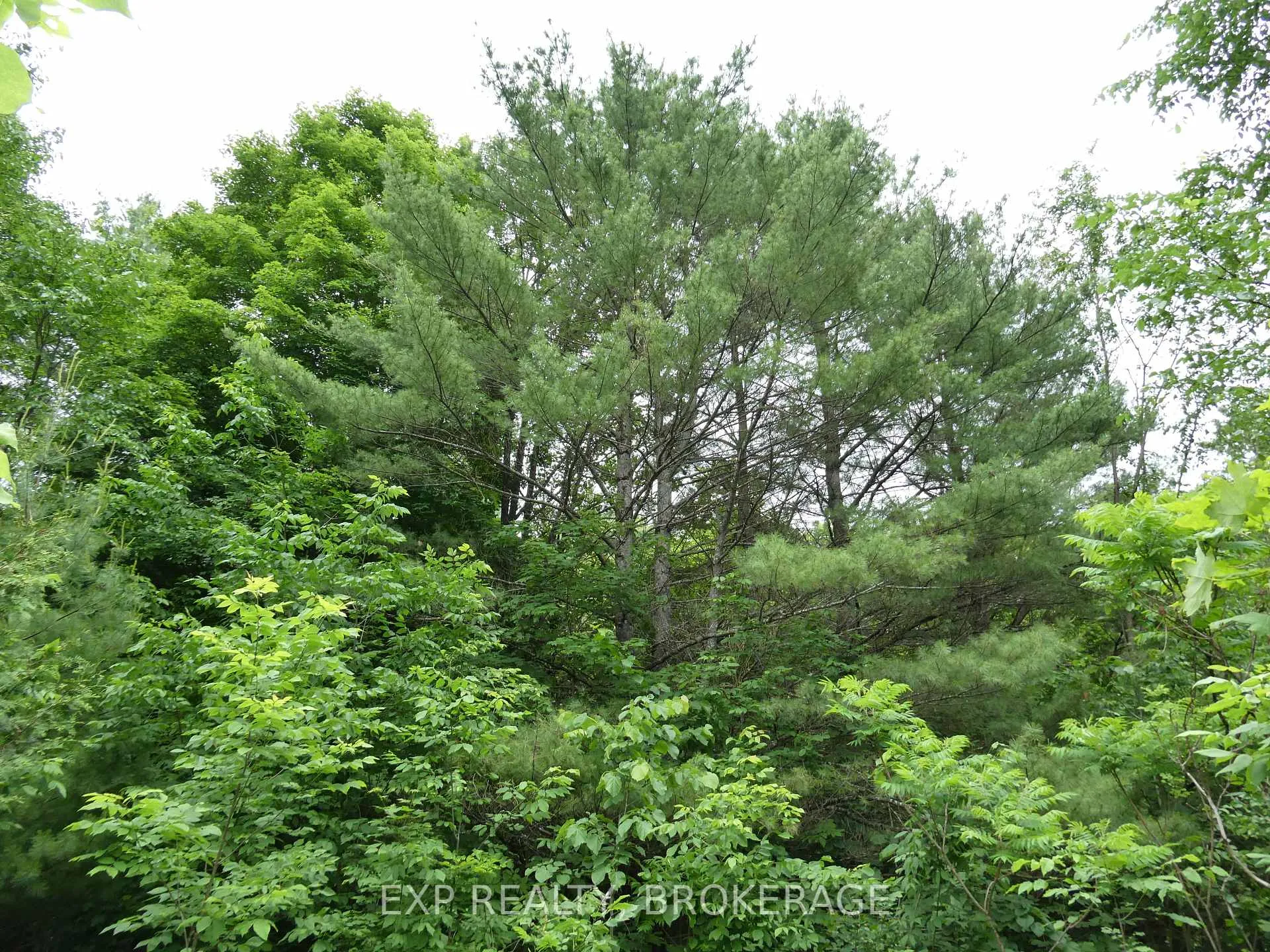 Photo 33 of 1881 Elm Tree Road, Frontenac, Frontenac Centre — HOMEH