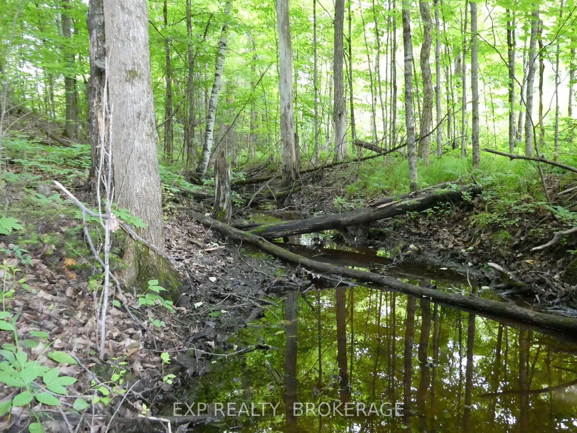 Photo 4 of 1931 Elm Tree Road, Frontenac, Frontenac Centre — HOMEH