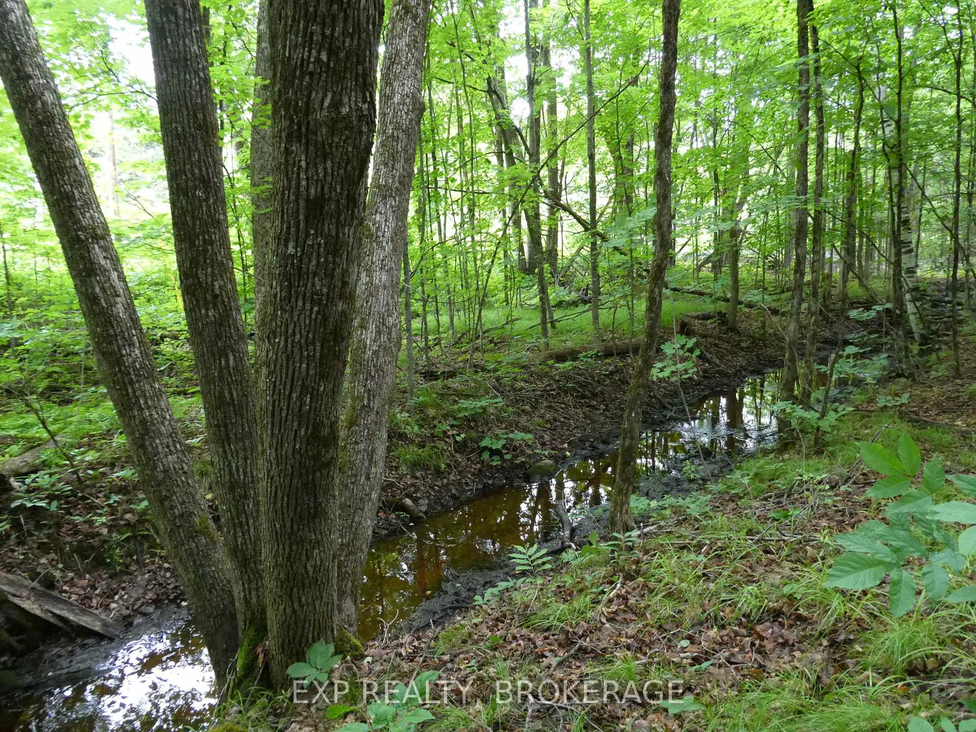 Photo 5 of 1931 Elm Tree Road, Frontenac, Frontenac Centre — HOMEH