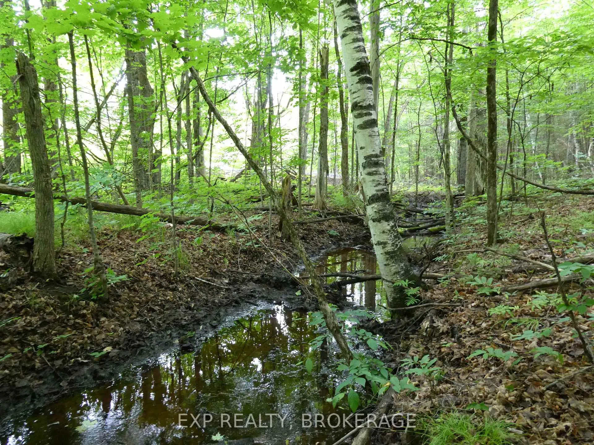 Photo 6 of 1931 Elm Tree Road, Frontenac, Frontenac Centre — HOMEH