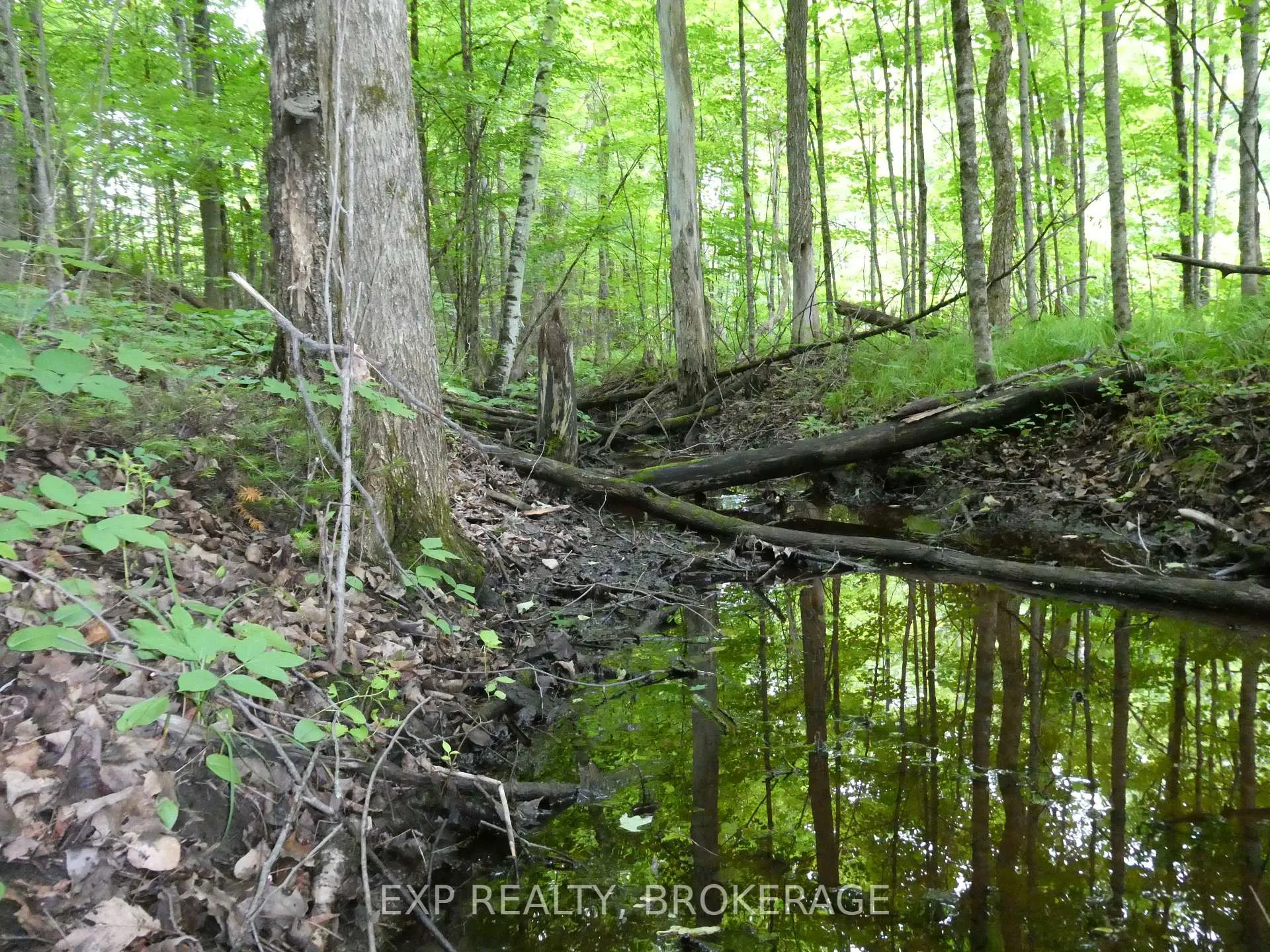 Photo 7 of 1931 Elm Tree Road, Frontenac, Frontenac Centre — HOMEH