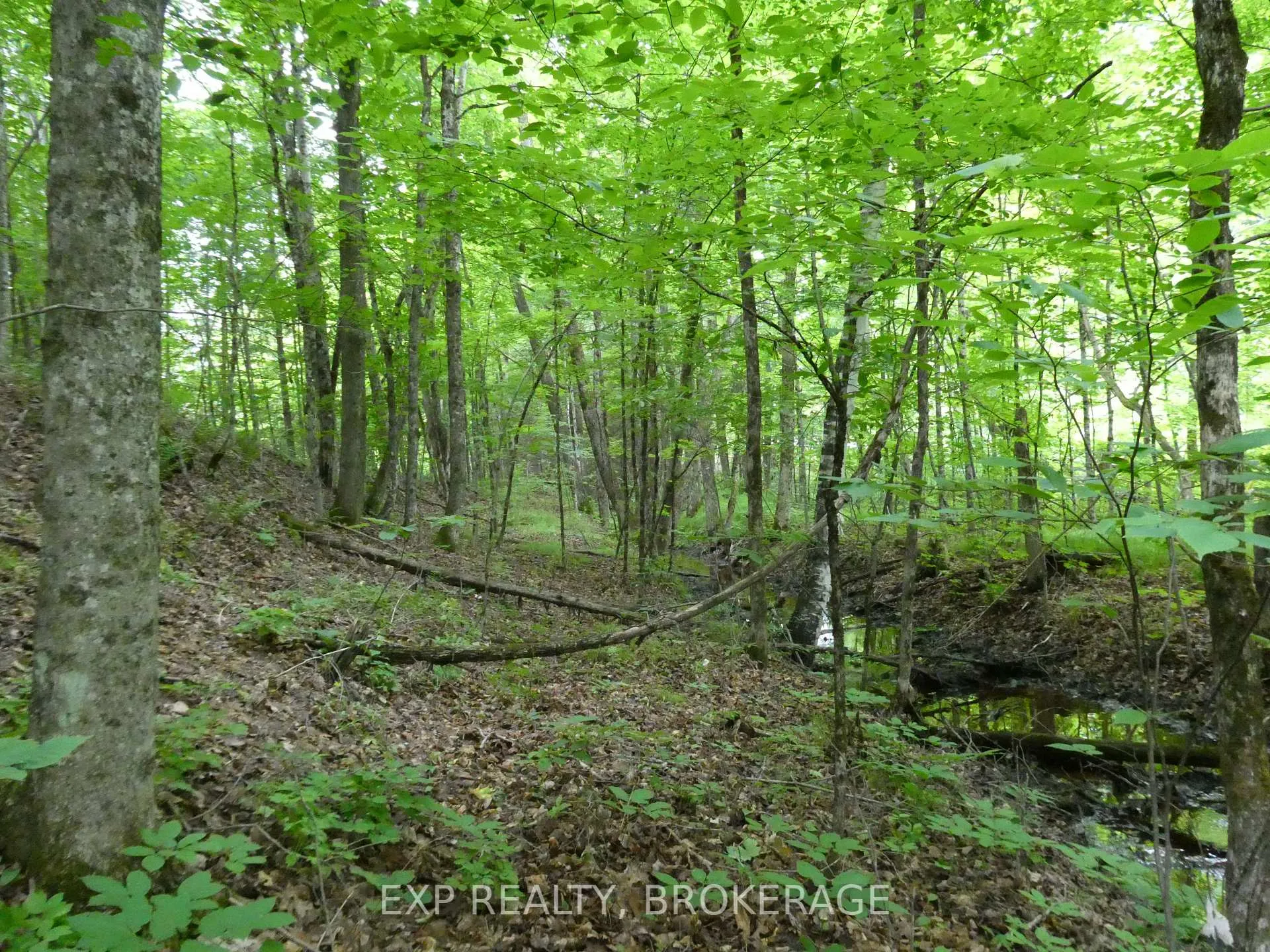 Photo 8 of 1931 Elm Tree Road, Frontenac, Frontenac Centre — HOMEH