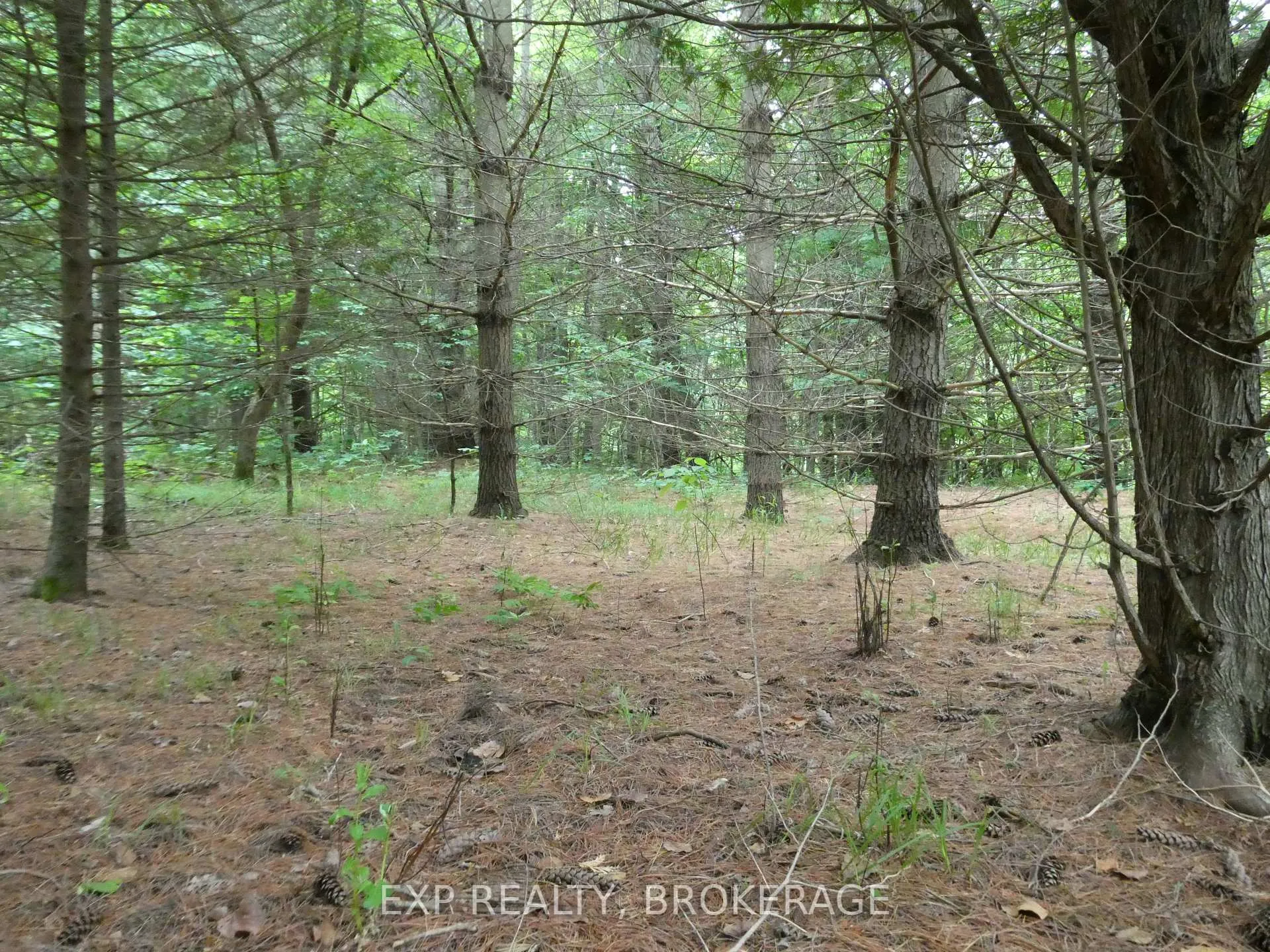 Photo 9 of 1931 Elm Tree Road, Frontenac, Frontenac Centre — HOMEH