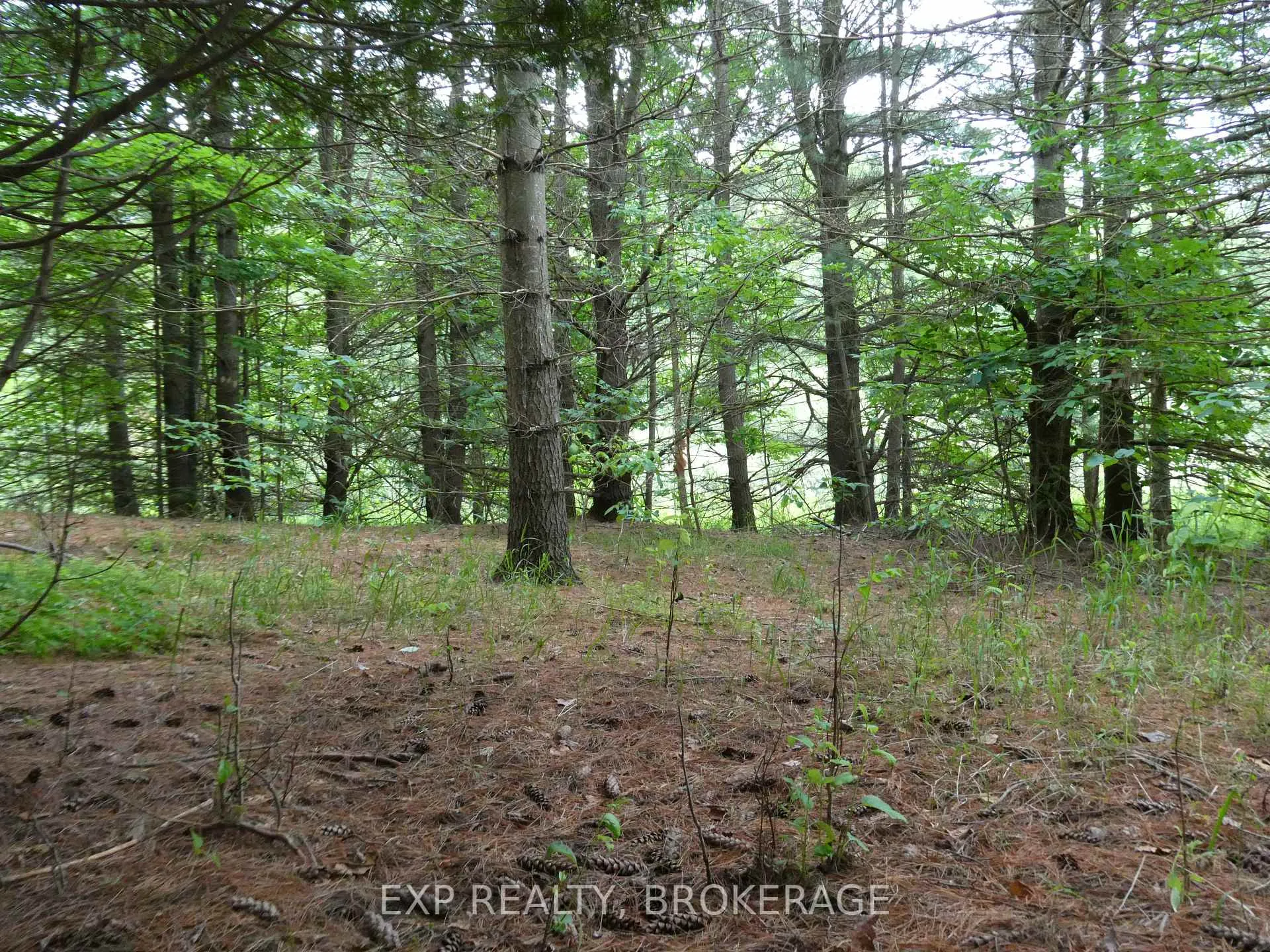 Photo 10 of 1931 Elm Tree Road, Frontenac, Frontenac Centre — HOMEH