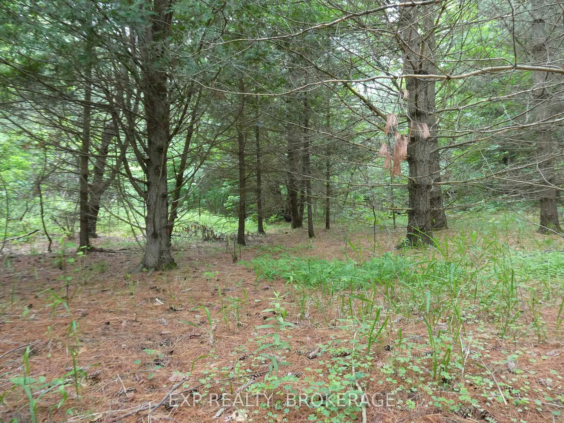 Photo 11 of 1931 Elm Tree Road, Frontenac, Frontenac Centre — HOMEH