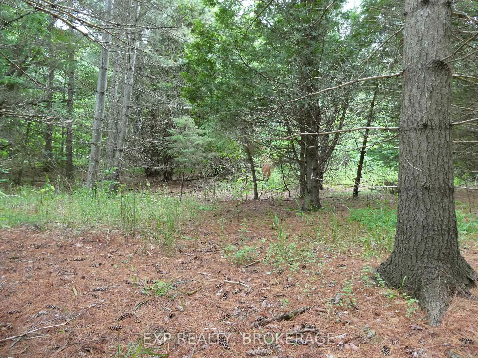 Photo 12 of 1931 Elm Tree Road, Frontenac, Frontenac Centre — HOMEH