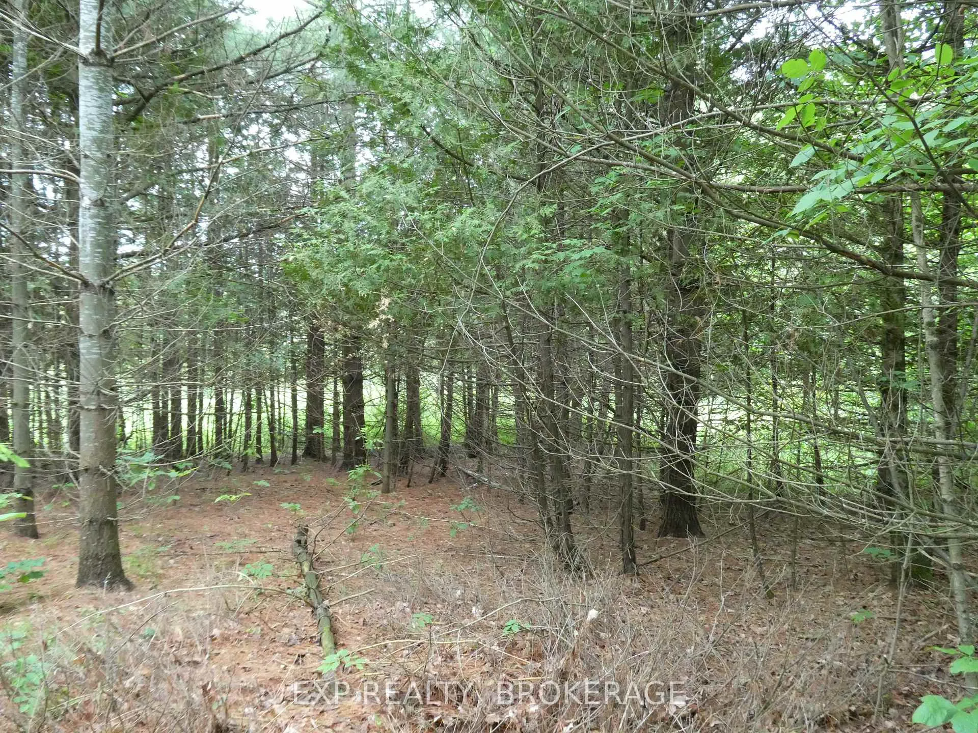 Photo 13 of 1931 Elm Tree Road, Frontenac, Frontenac Centre — HOMEH