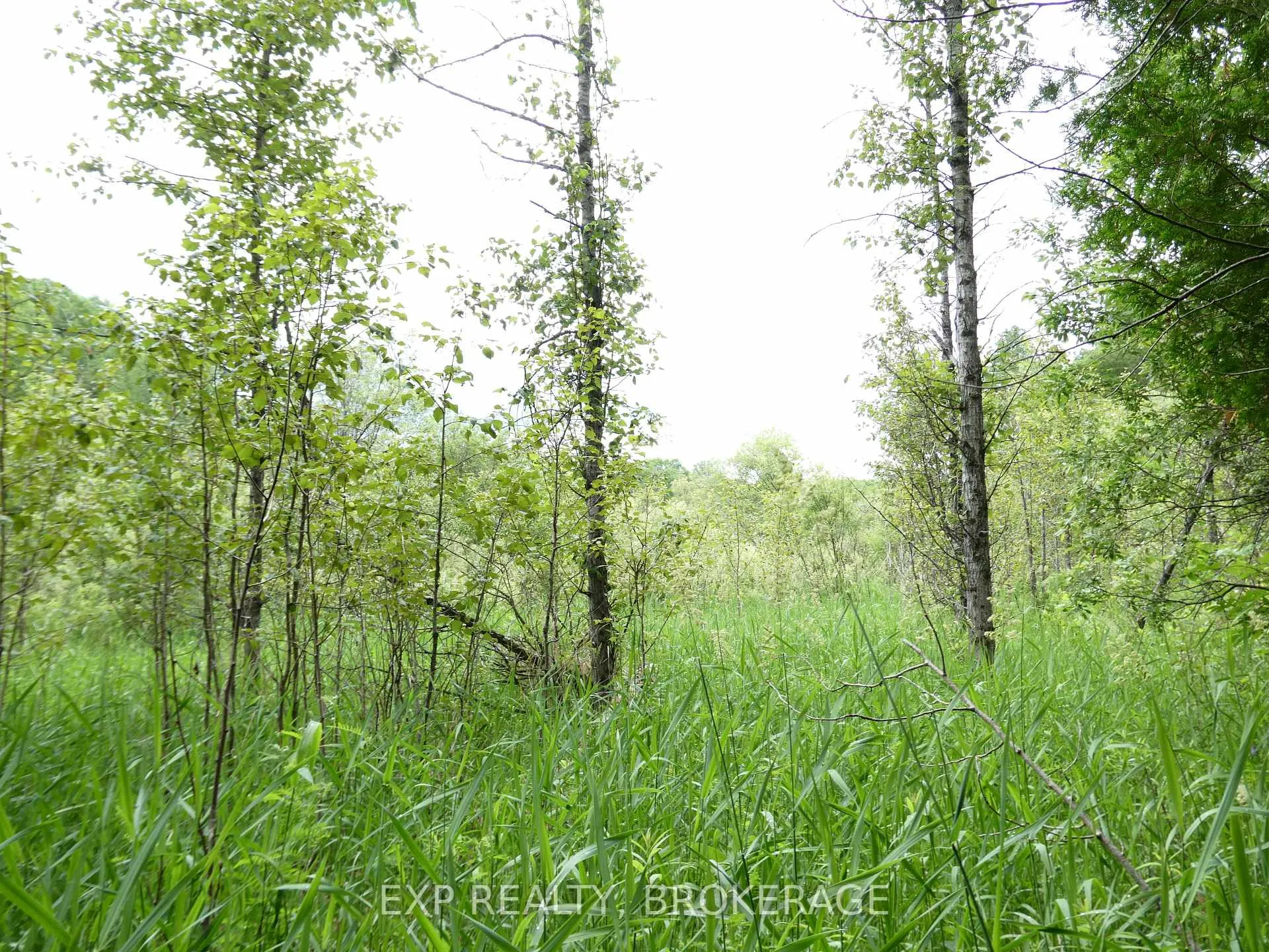 Photo 14 of 1931 Elm Tree Road, Frontenac, Frontenac Centre — HOMEH