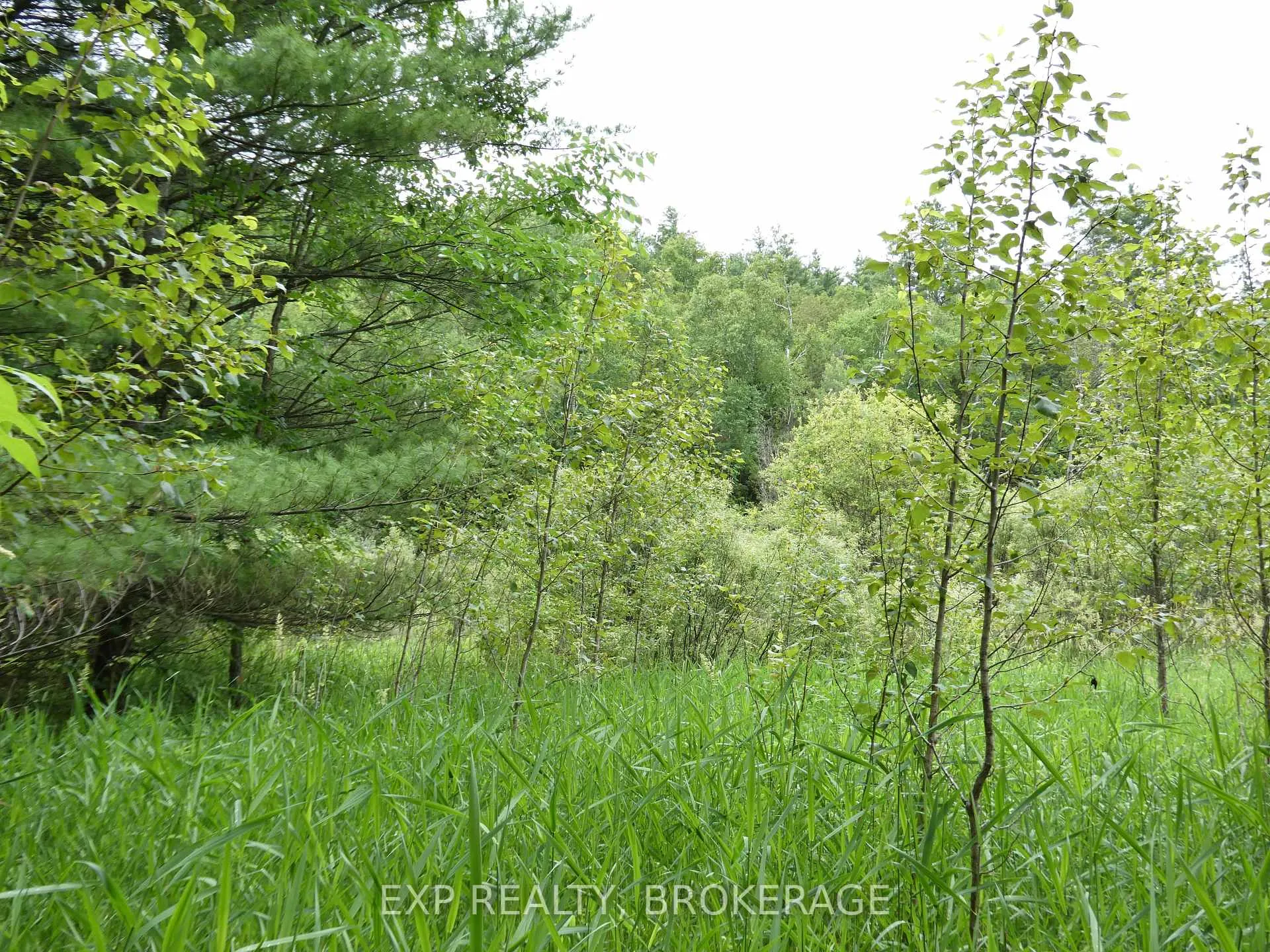 Photo 15 of 1931 Elm Tree Road, Frontenac, Frontenac Centre — HOMEH