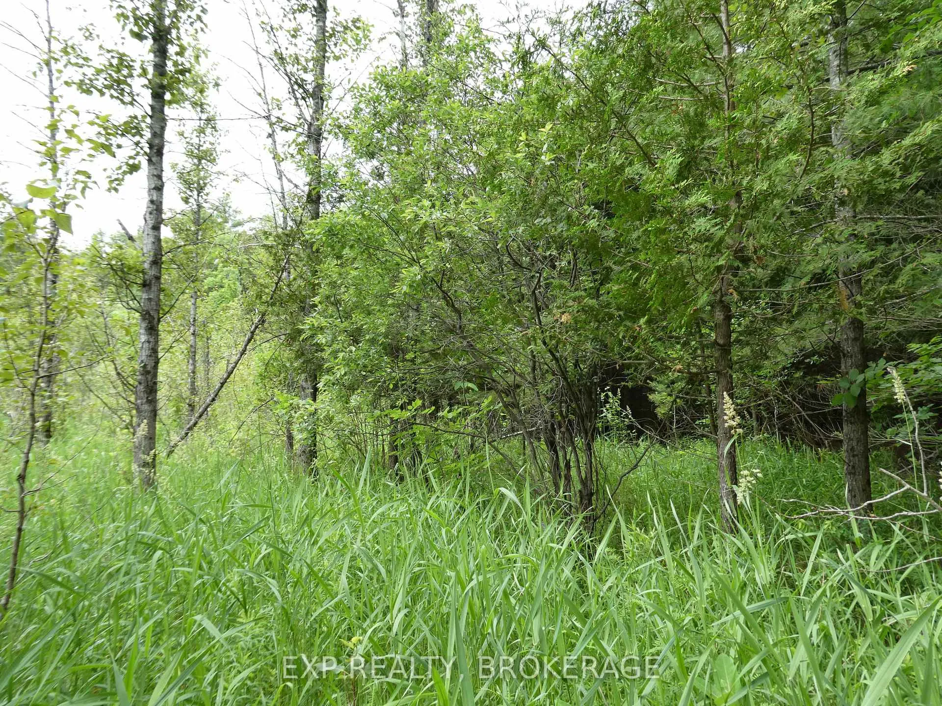 Photo 16 of 1931 Elm Tree Road, Frontenac, Frontenac Centre — HOMEH