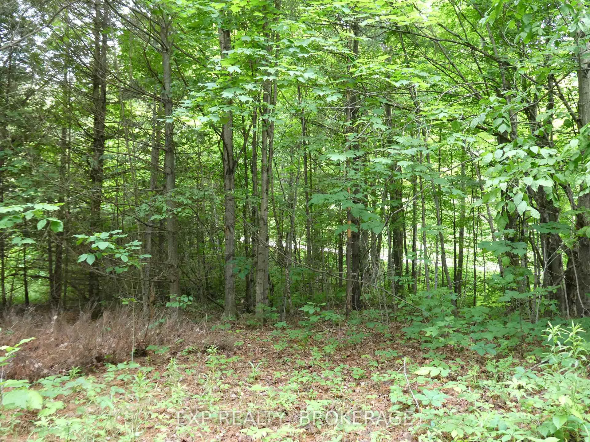 Photo 17 of 1931 Elm Tree Road, Frontenac, Frontenac Centre — HOMEH