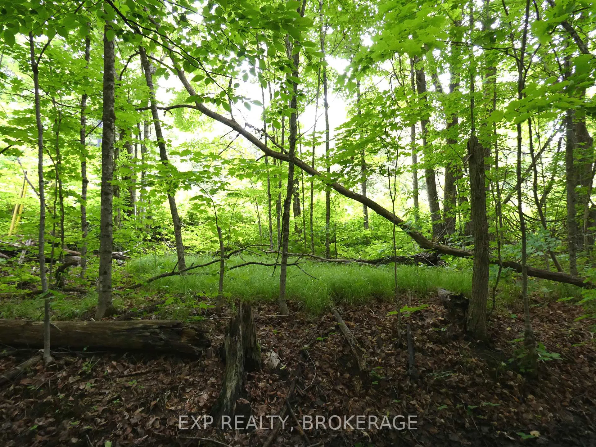 Photo 18 of 1931 Elm Tree Road, Frontenac, Frontenac Centre — HOMEH