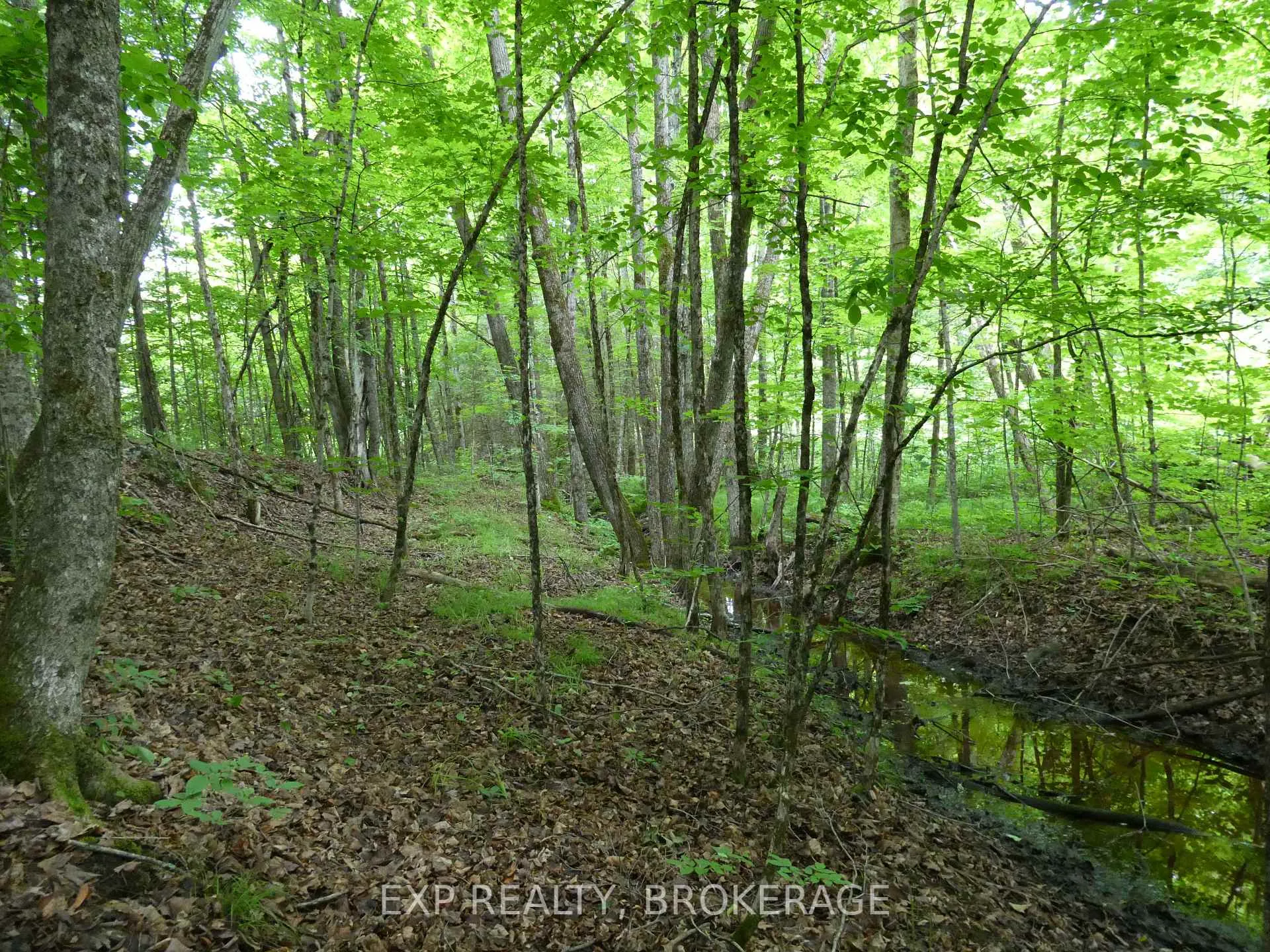 Photo 19 of 1931 Elm Tree Road, Frontenac, Frontenac Centre — HOMEH