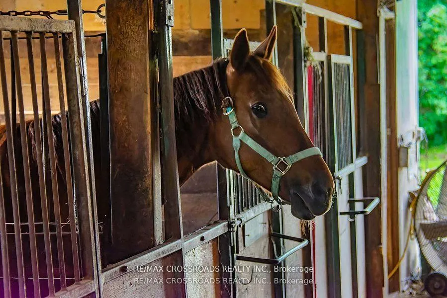 Photo 29 of 2300 Rosebank Road, Pickering, Rural Pickering — HOMEH