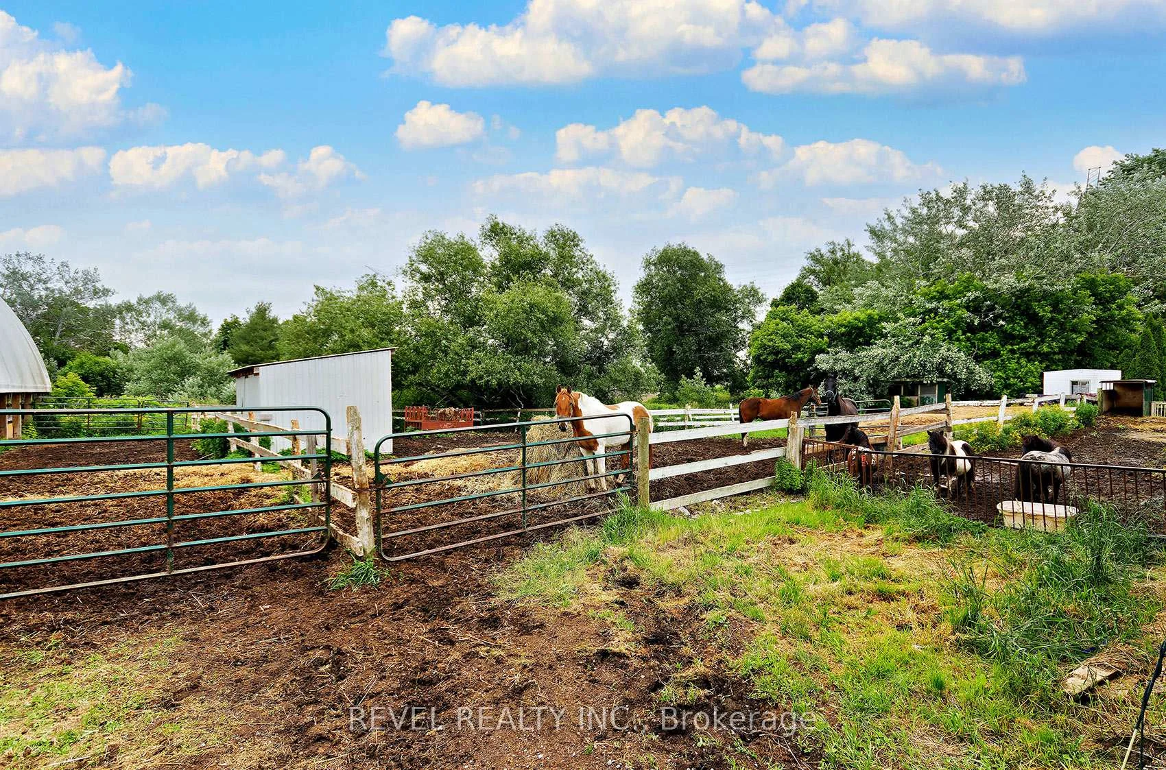 Photo 46 of 2300 Rosebank Road, Pickering, Rural Pickering — HOMEH