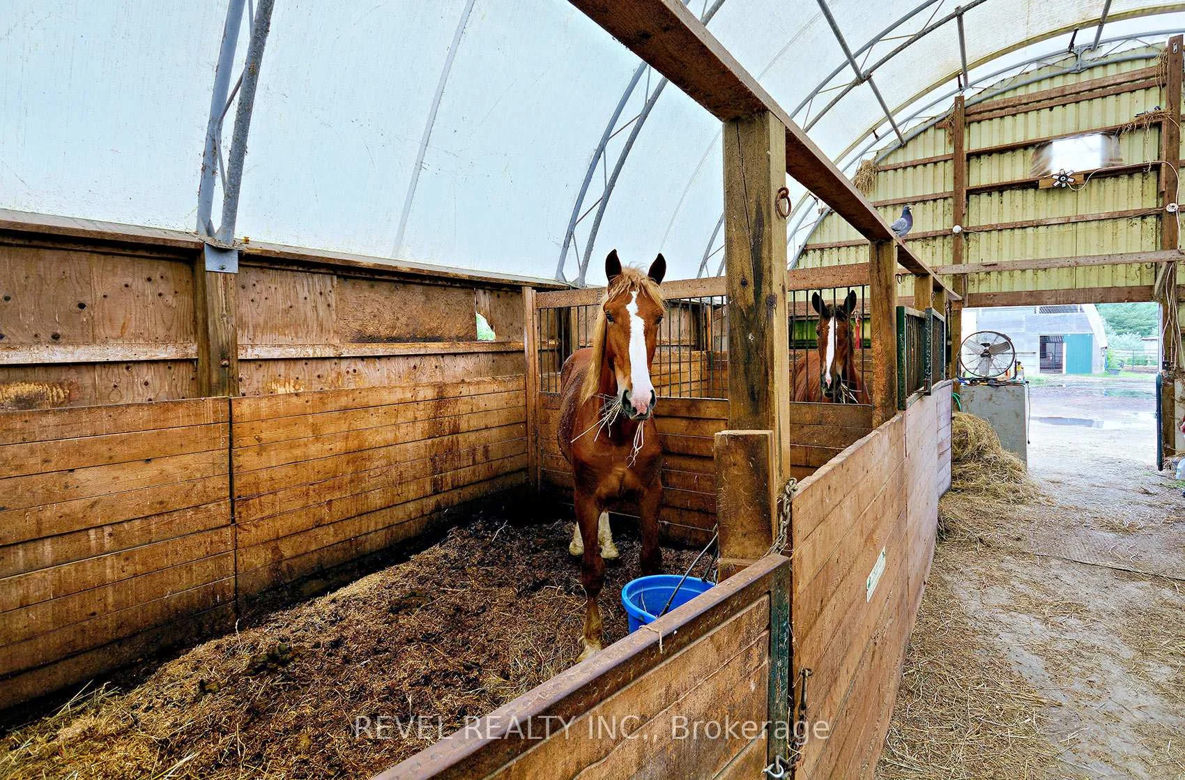 Photo 74 of 2300 Rosebank Road, Pickering, Rural Pickering — HOMEH