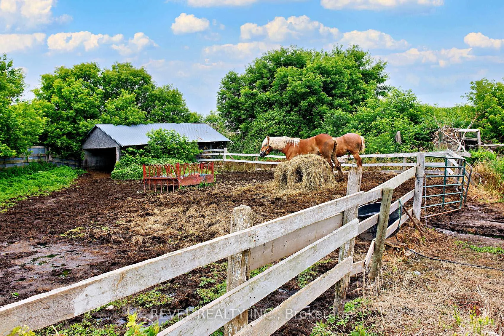 Photo 83 of 2300 Rosebank Road, Pickering, Rural Pickering — HOMEH