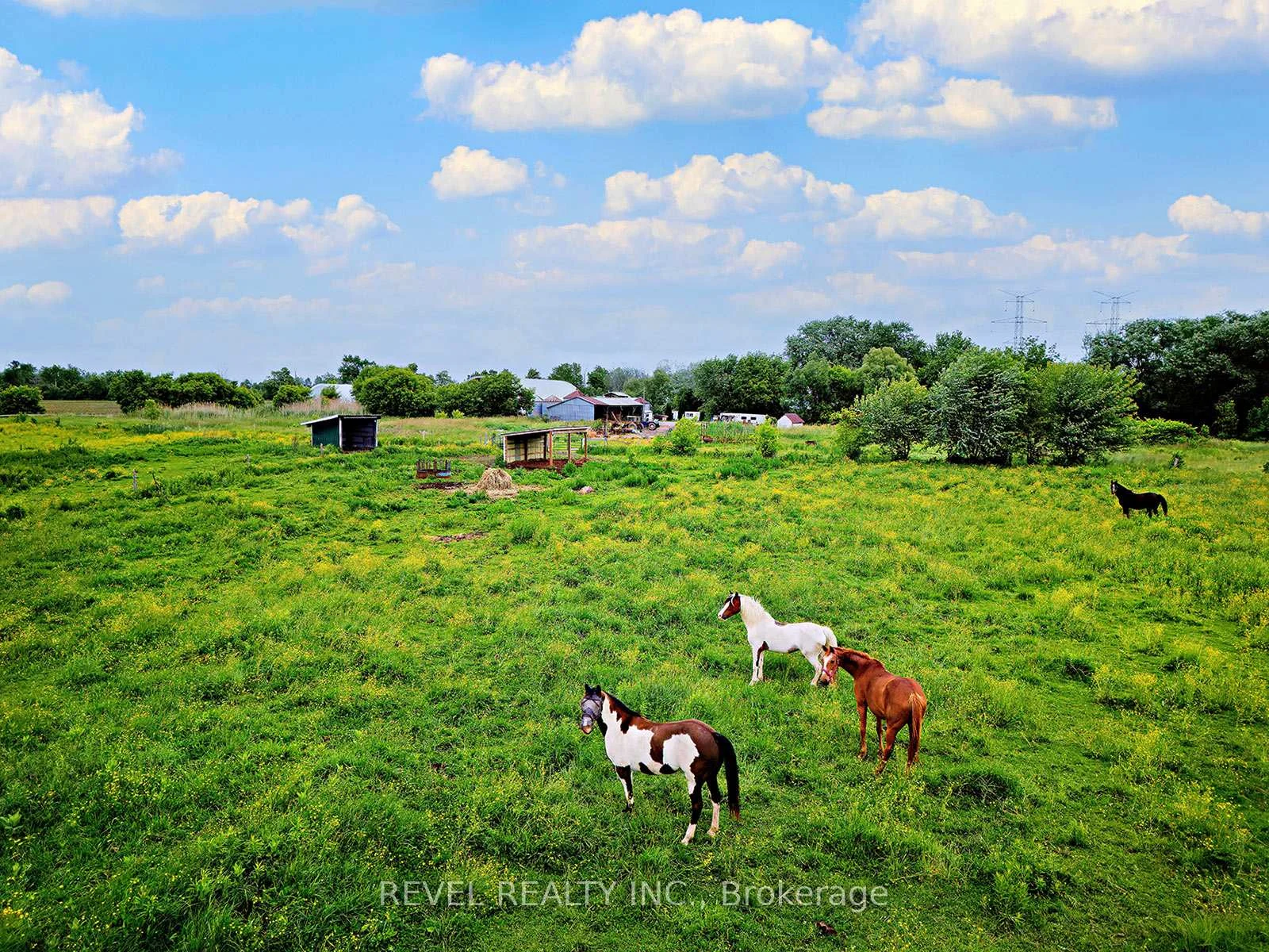 Photo 86 of 2300 Rosebank Road, Pickering, Rural Pickering — HOMEH