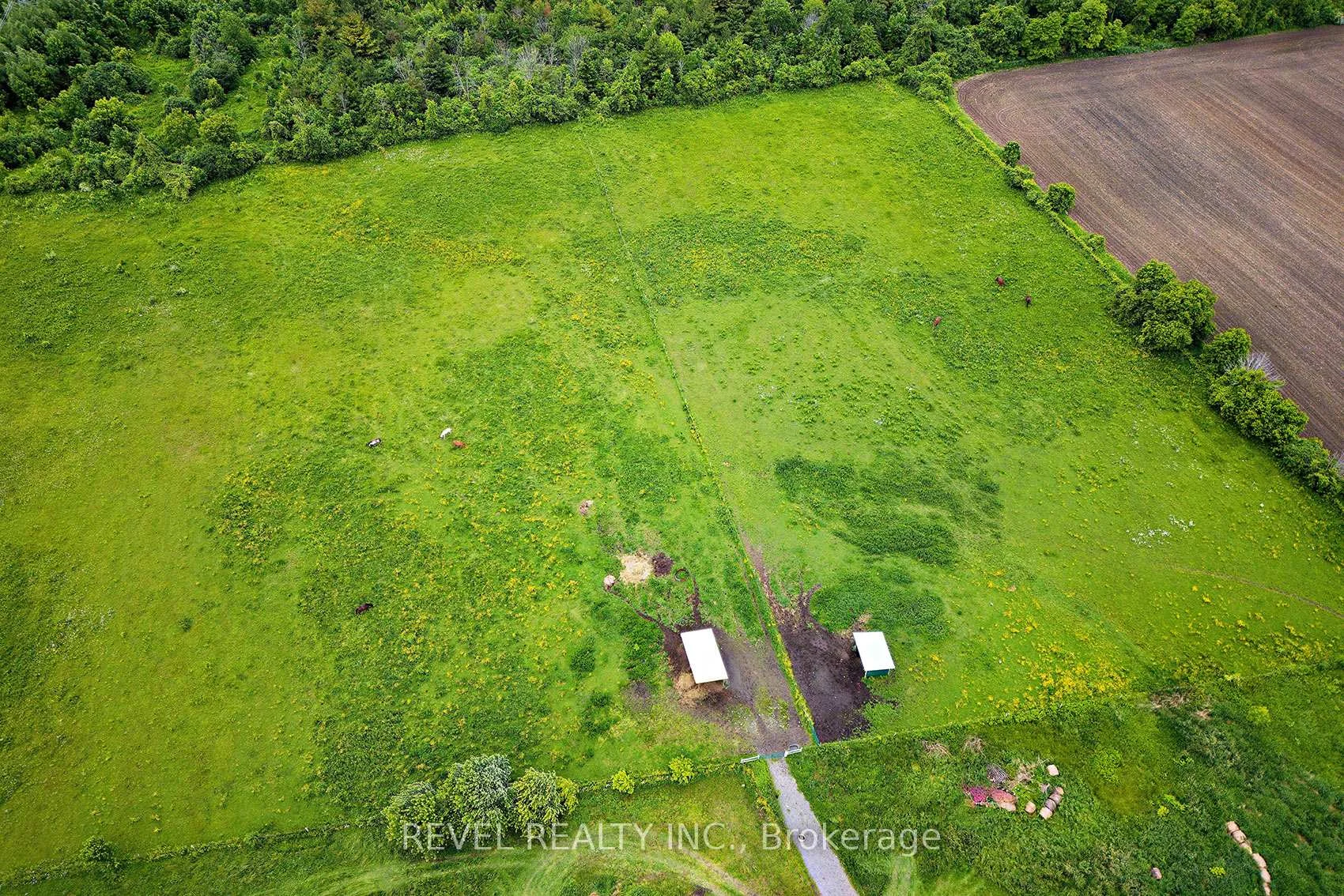 Photo 87 of 2300 Rosebank Road, Pickering, Rural Pickering — HOMEH