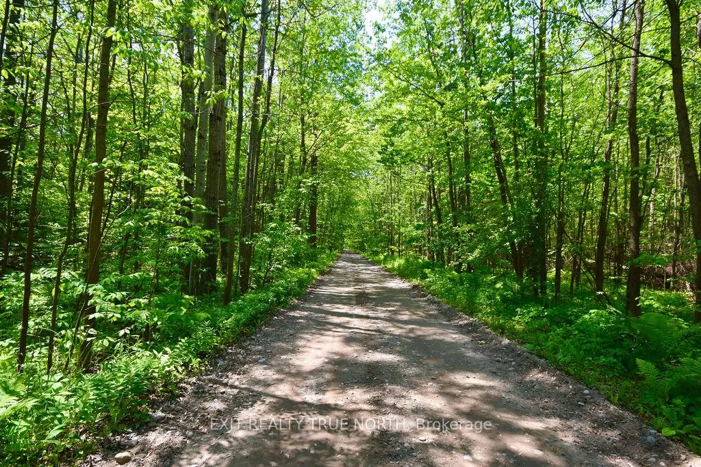 Photo 14 of 199 3 Concession Road W, Tiny, Rural Tiny — HOMEH