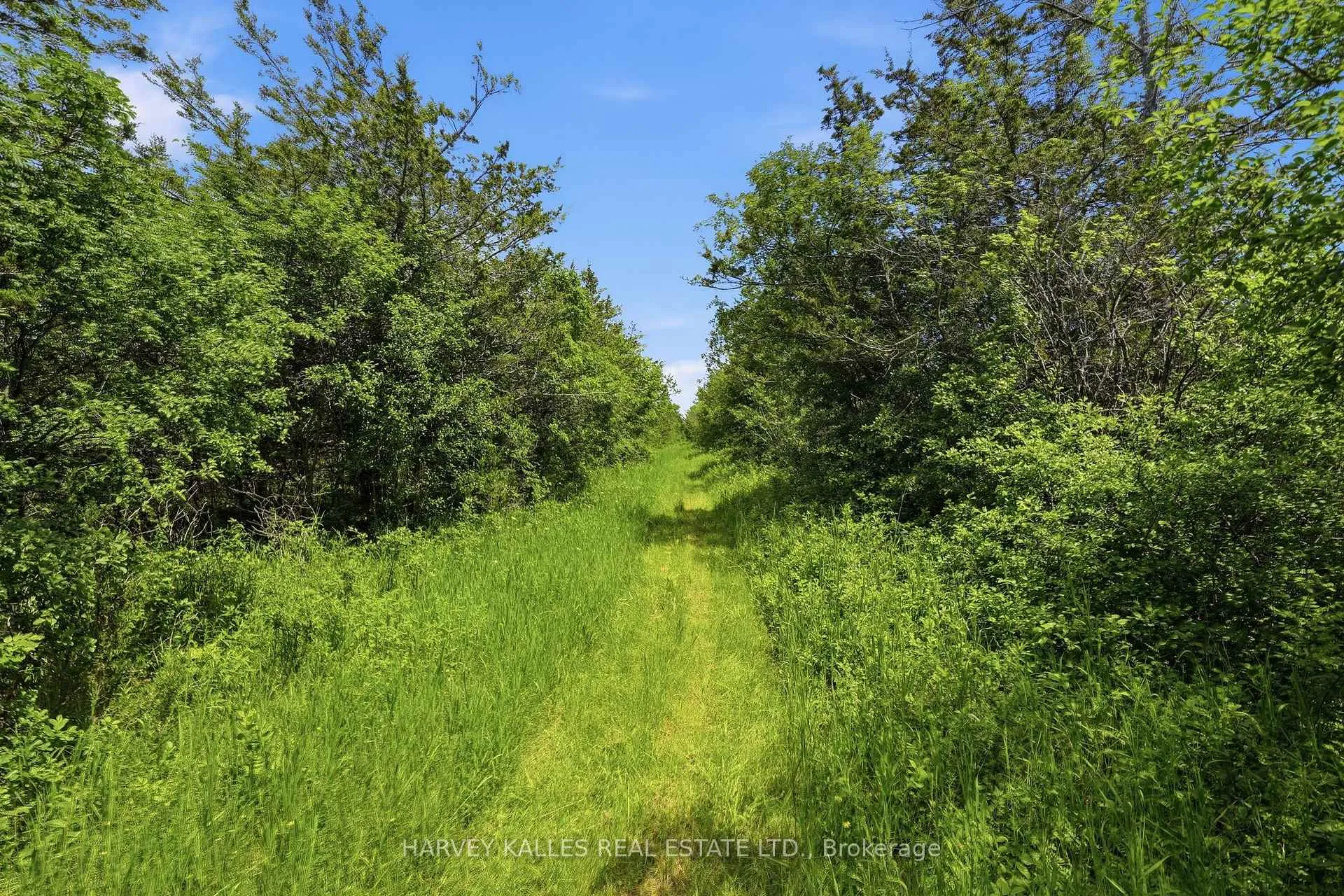 Photo 9 of 685 County 8 Road, Prince Edward County, Picton — HOMEH