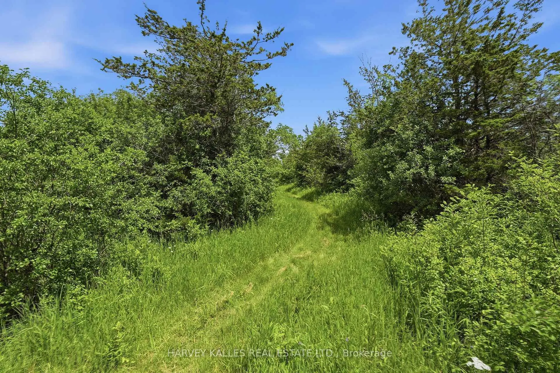 Photo 19 of 685 County 8 Road, Prince Edward County, Picton — HOMEH