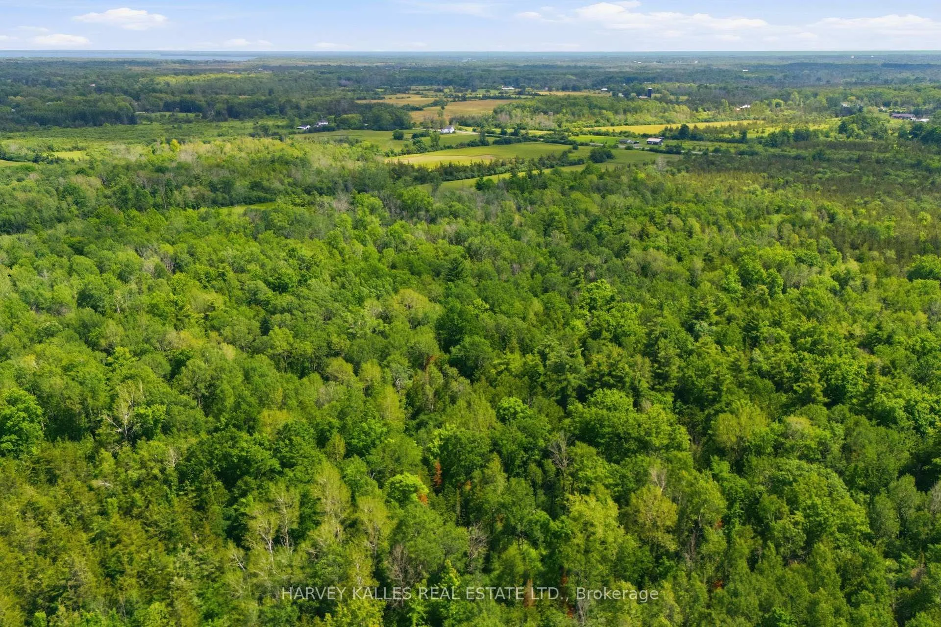 Photo 7 of 685 County 8 Road, Prince Edward County, Picton — HOMEH