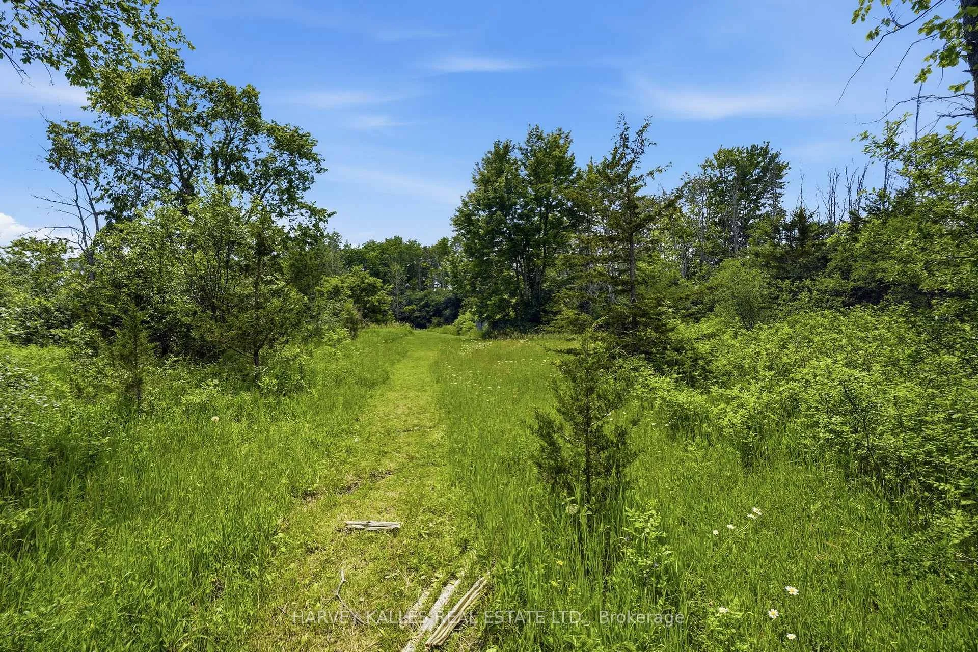 Photo 16 of 685 County 8 Road, Prince Edward County, Picton — HOMEH