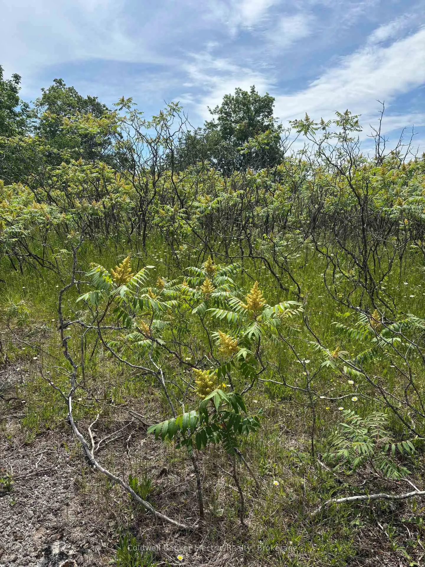 Photo 3 of Tower Road, Madoc — HOMEH