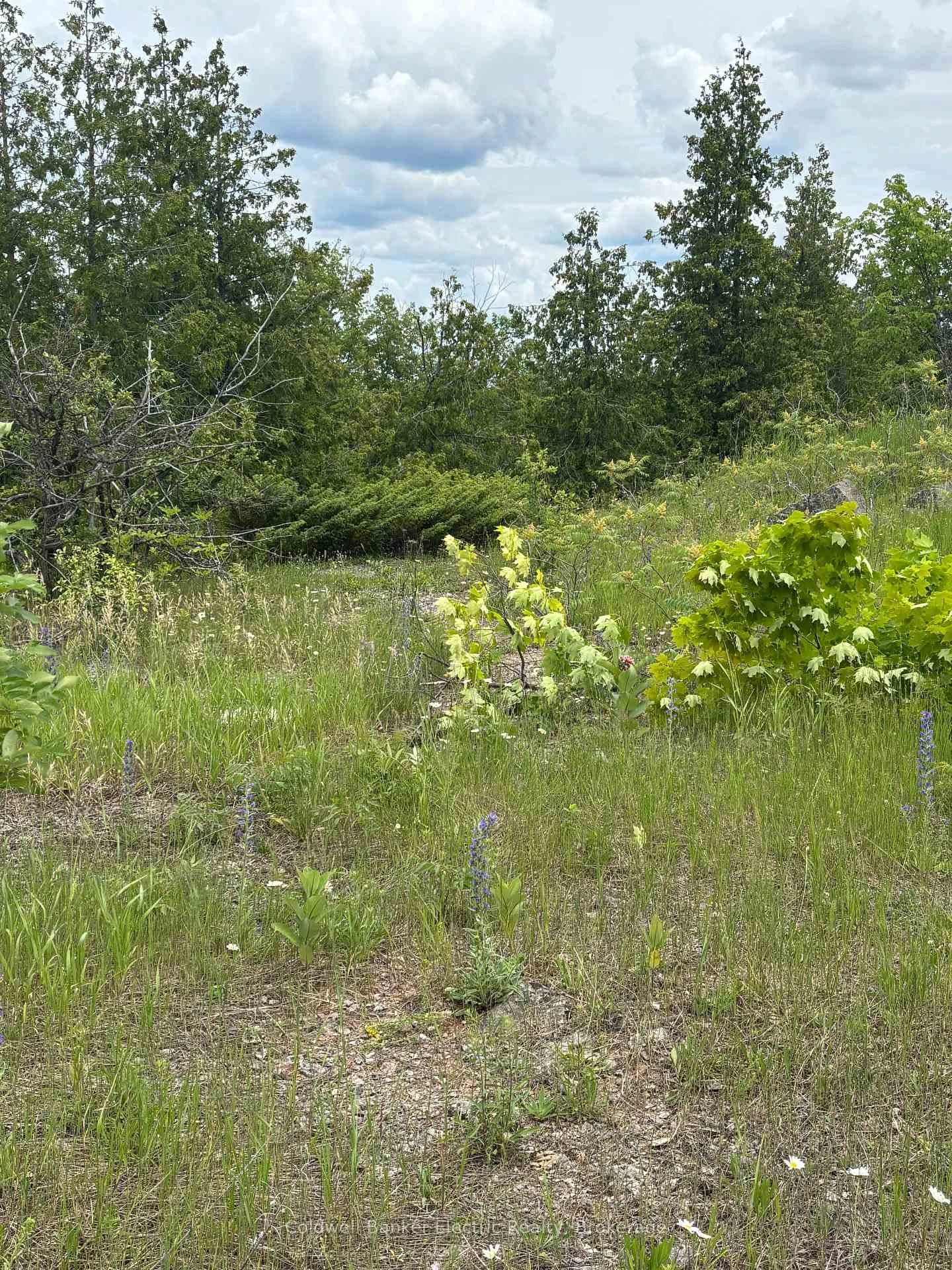Photo 8 of Tower Road, Madoc — HOMEH