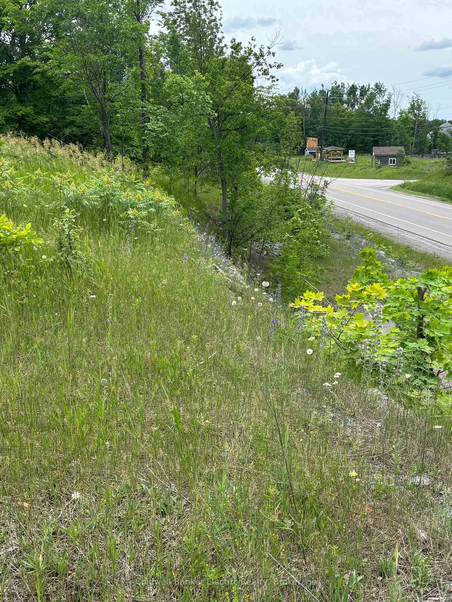Photo 9 of Tower Road, Madoc — HOMEH
