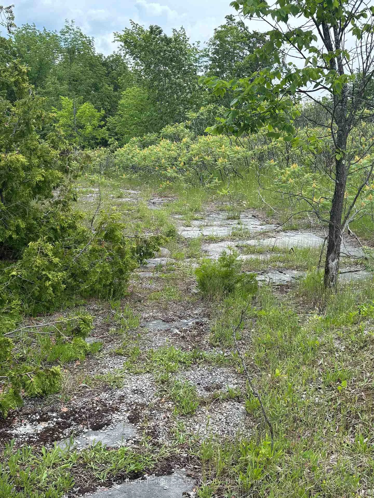 Photo 10 of Tower Road, Madoc — HOMEH