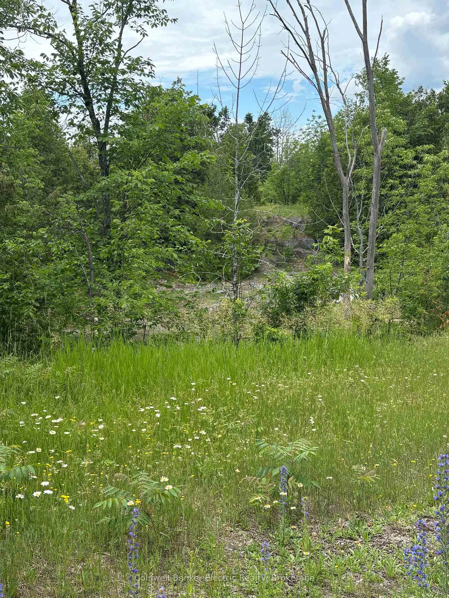 Photo of 0 Tower Road