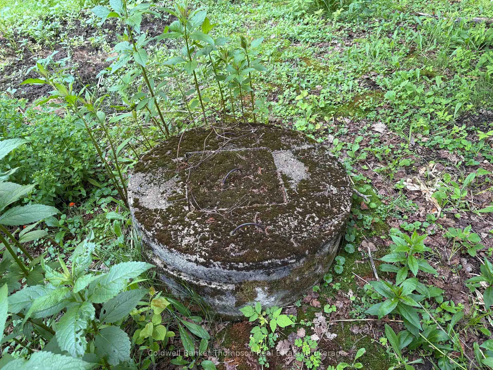 Photo 26 of 273 Simpson's Hill Road, Machar — HOMEH