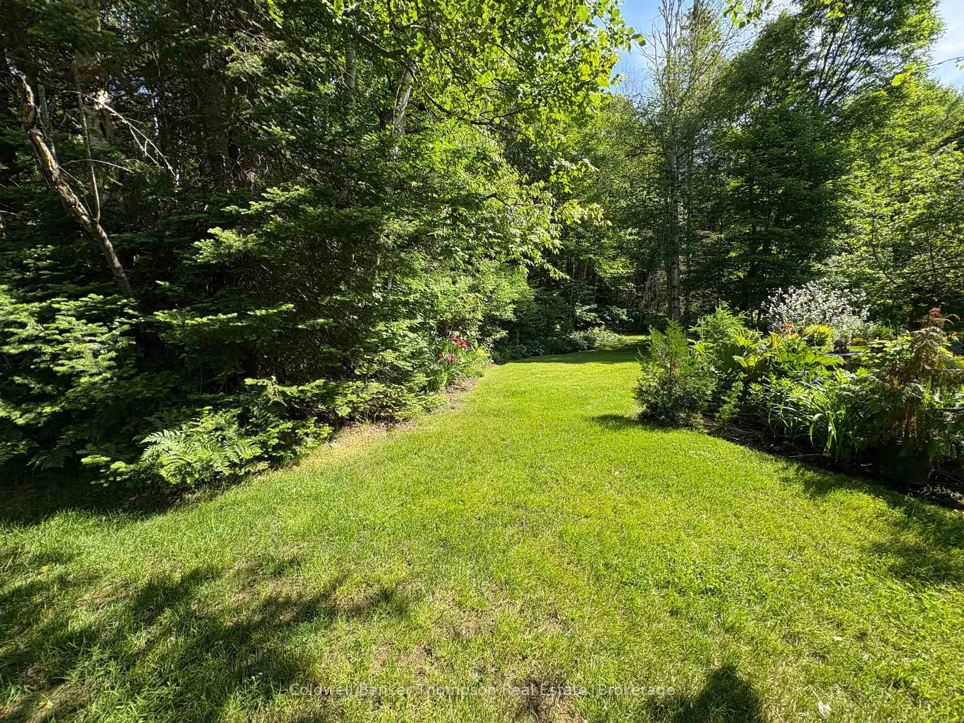 Photo 31 of 273 Simpson's Hill Road, Machar — HOMEH