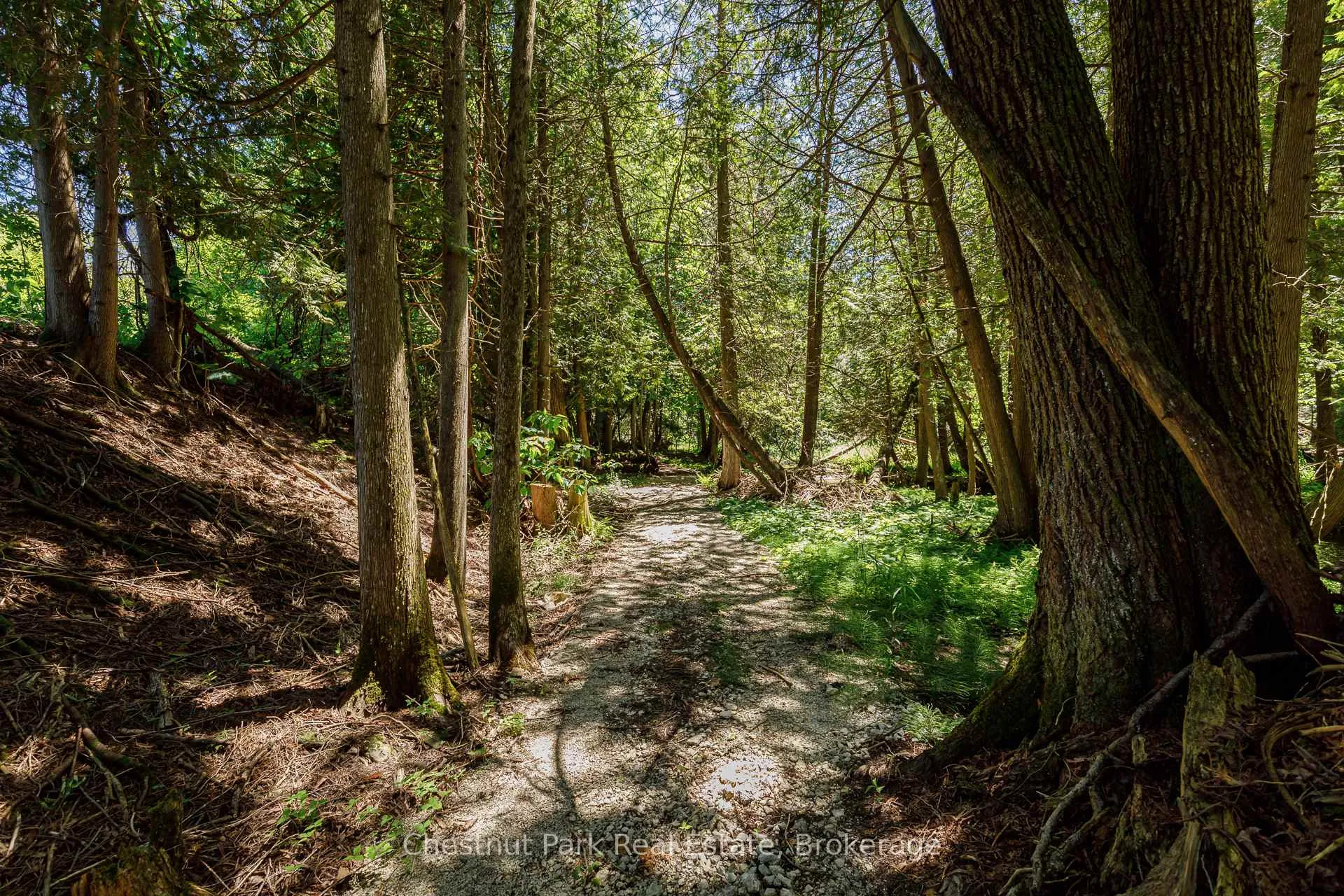 Photo 52 of 174386 Lower Valley Road, Grey Highlands — HOMEH