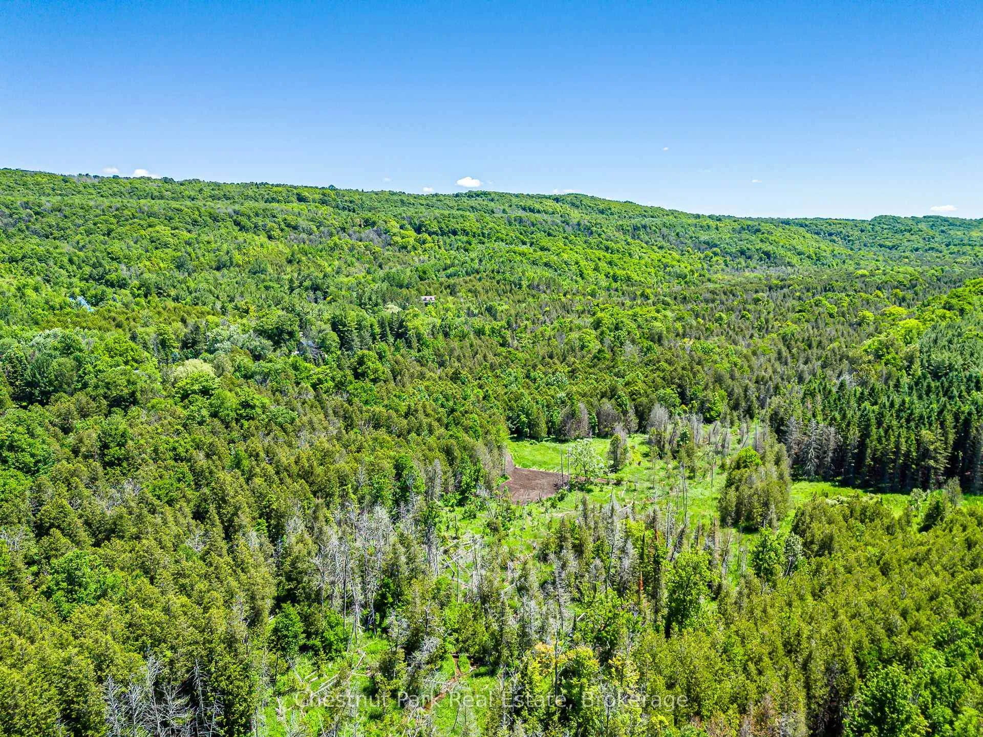 Photo 76 of 174386 Lower Valley Road, Grey Highlands — HOMEH