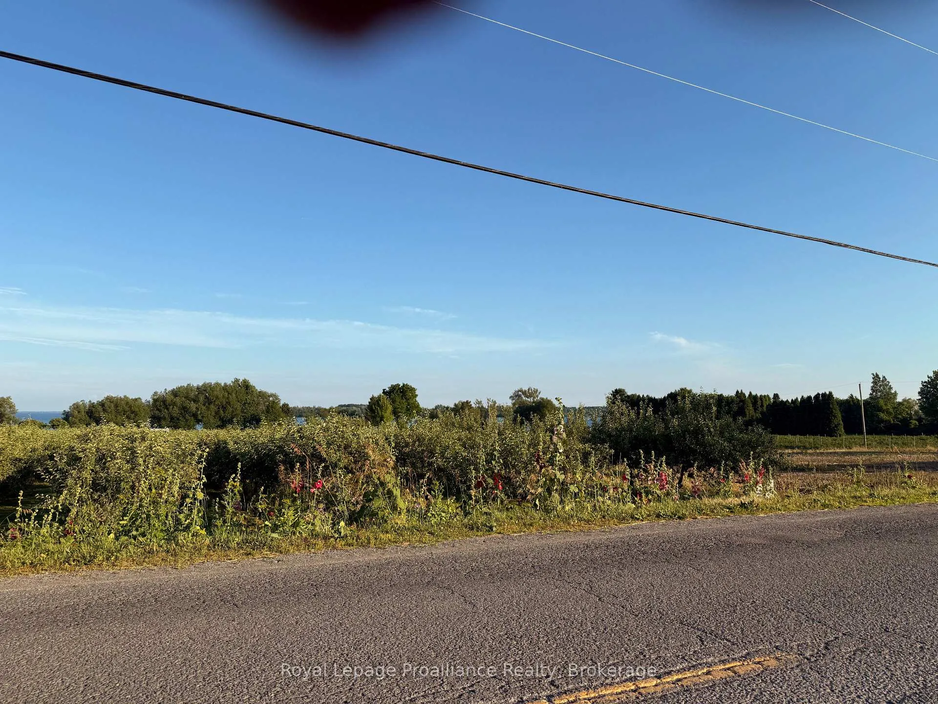 Photo 3 of 00 County Road 8, Prince Edward County, North Marysburg Ward — HOMEH