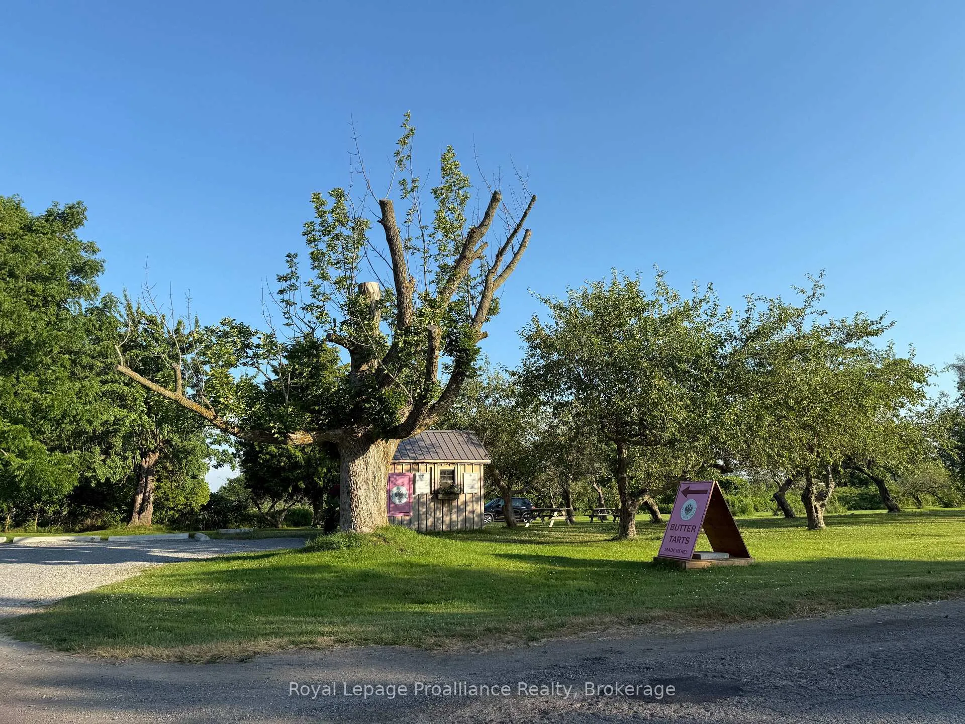 Photo 8 of 00 County Road 8, Prince Edward County, North Marysburg Ward — HOMEH