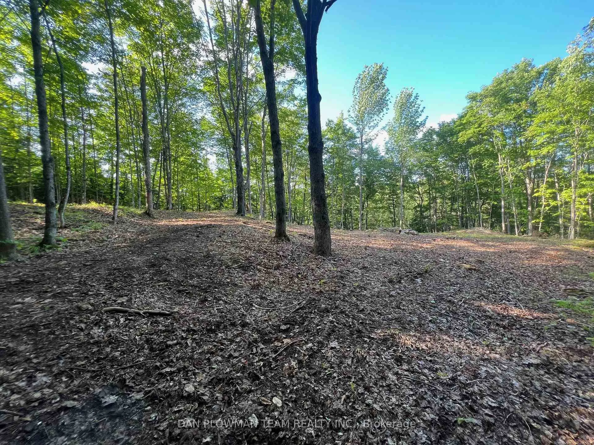 Photo 1 of 678 Centreview Road, Hastings Highlands, Bangor Ward — HOMEH