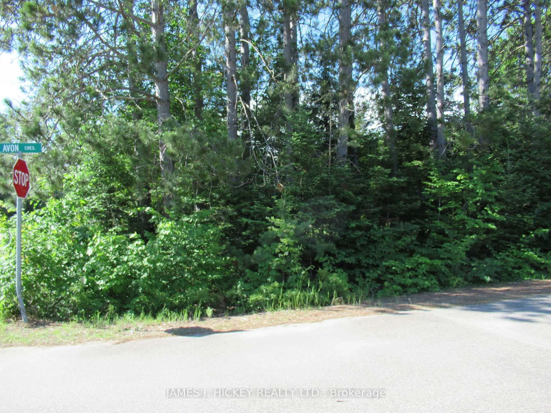 Photo 3 of LT 99 Avon Road, Deep River, Deep River — HOMEH