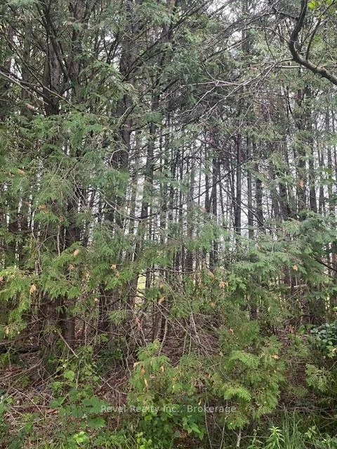 Photo 3 of 17 Diamond Lake Road, Madawaska Valley, Madawaska Valley — HOMEH