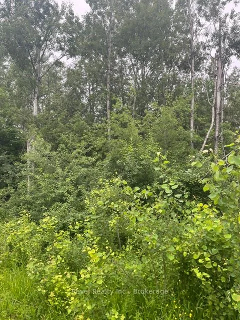 Photo 5 of 17 Diamond Lake Road, Madawaska Valley, Madawaska Valley — HOMEH