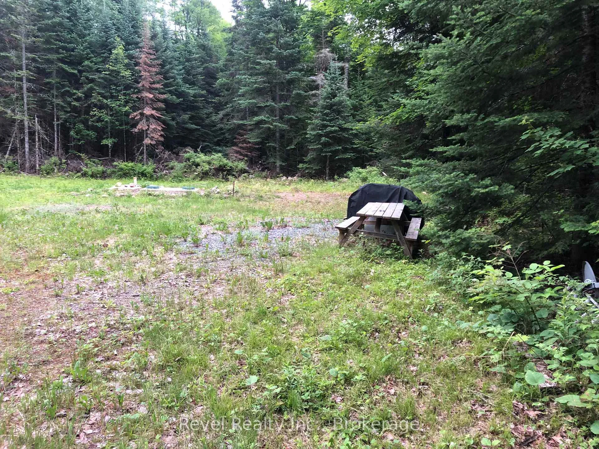 Photo 7 of 17 Diamond Lake Road, Madawaska Valley, Madawaska Valley — HOMEH